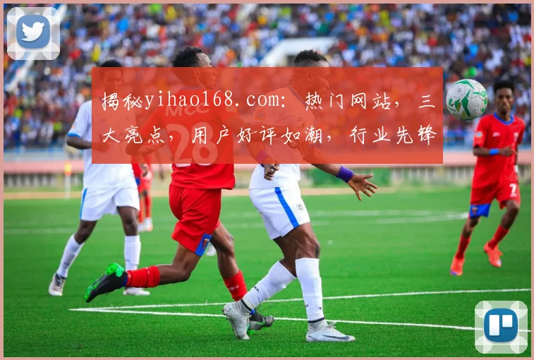 揭秘yihao168.com：热门网站，三大亮点，用户好评如潮，行业先锋