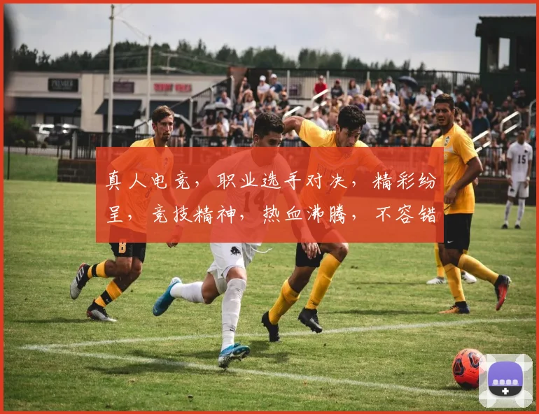 真人电竞，职业选手对决，精彩纷呈，竞技精神，热血沸腾，不容错过，体验非凡