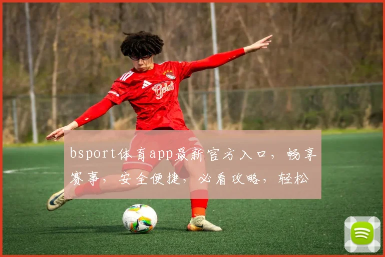 bsport体育app最新官方入口，畅享赛事，安全便捷，必看攻略，轻松下载
