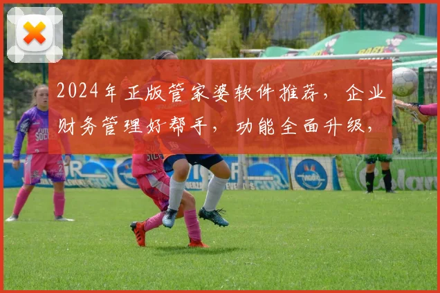 2024年正版管家婆软件推荐，企业财务管理好帮手，功能全面升级，性价比高