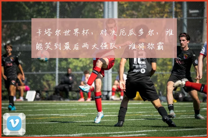 卡塔尔世界杯，对决厄瓜多尔，谁能笑到最后两大强队，谁将称霸