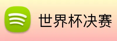 世界杯决赛 logo